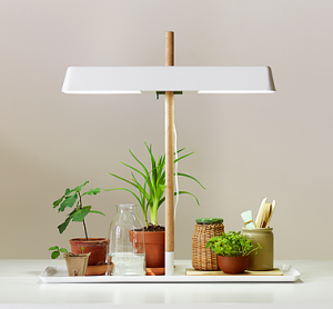 plant_lamp_02_reference-300x278