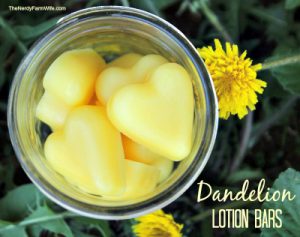 Homemade-Dandelion-Lotion-Bar-Recipe