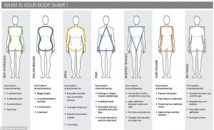 body-shape-diagram